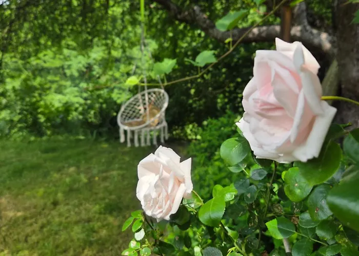 Сasa de vacaciones Ferienhaus_natikrausz St. Martin (Klagenfurt-Land)